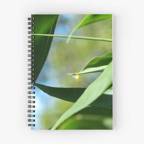 Item preview, Morning Sunshine Dew Drop on Bamboo designed and sold by TropicalFronds.