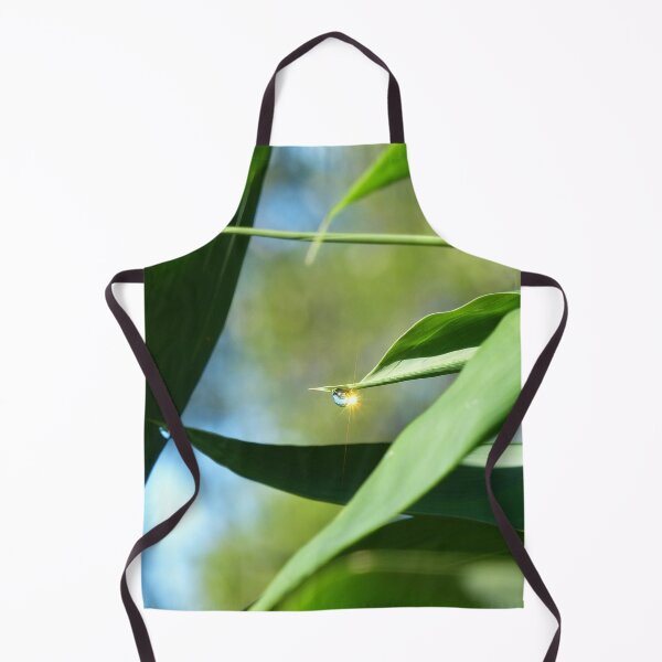 Item preview, Morning Sunshine Dew Drop on Bamboo designed and sold by TropicalFronds.