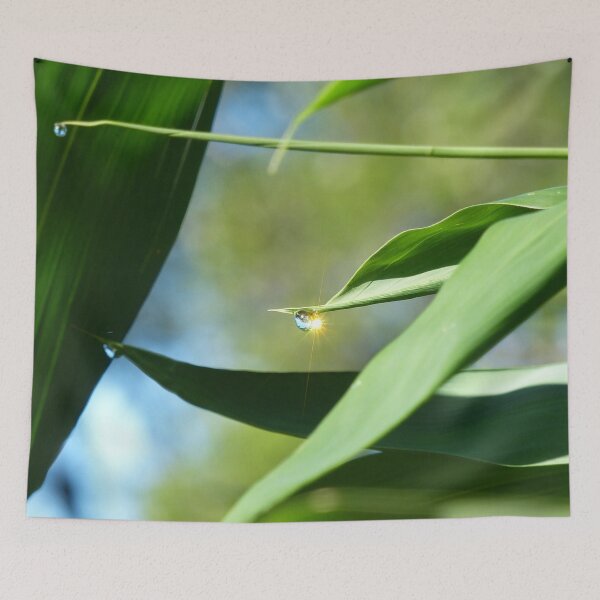 Item preview, Morning Sunshine Dew Drop on Bamboo designed and sold by TropicalFronds.