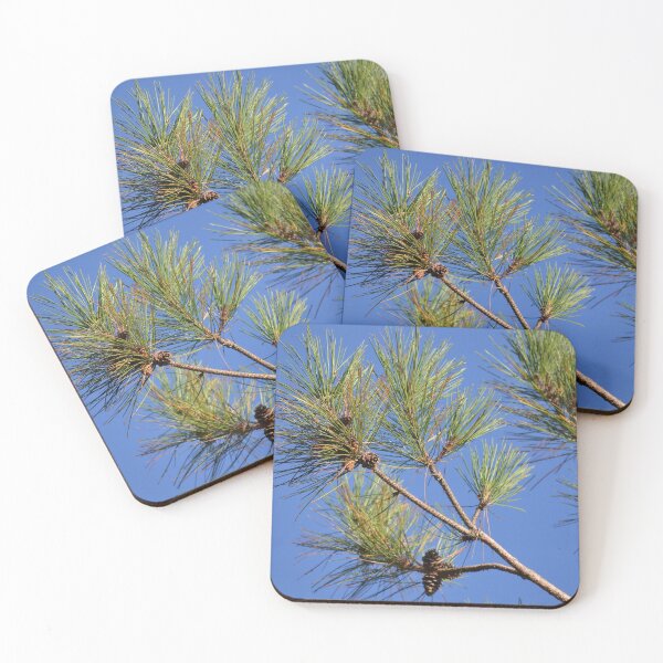 Item preview, Pine tree reaching for the beautiful blue sky designed and sold by NorthernSnappy.