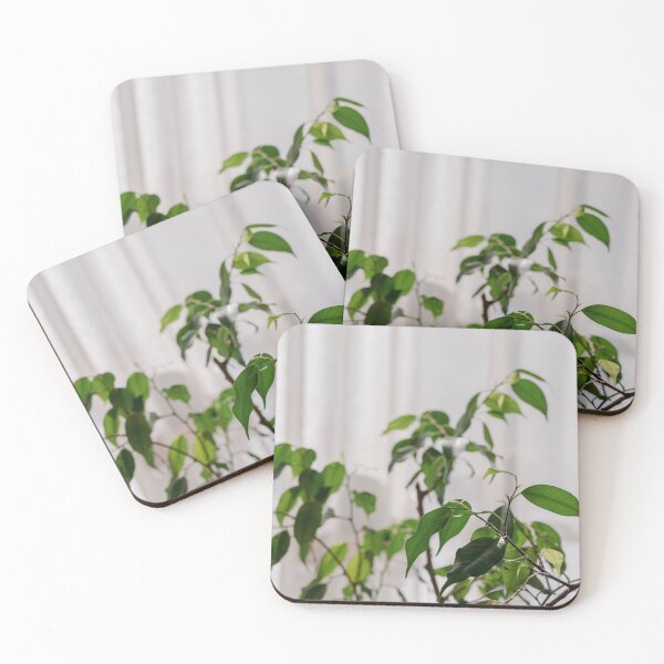Item preview, Ficus leaves designed and sold by anstey.