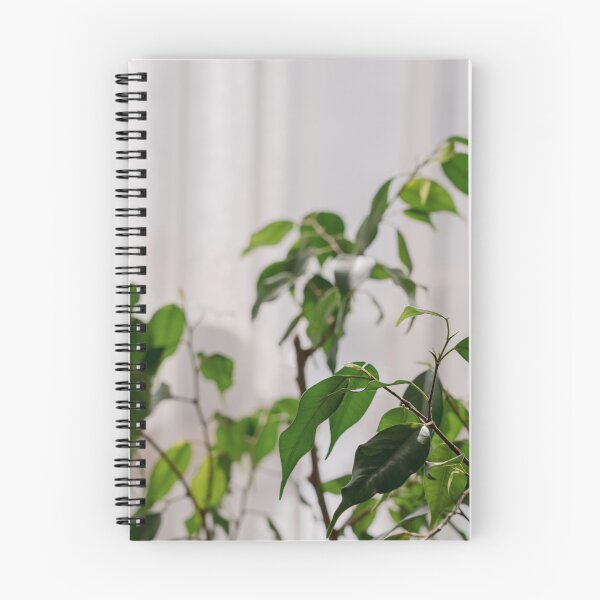 Item preview, Ficus leaves designed and sold by anstey.