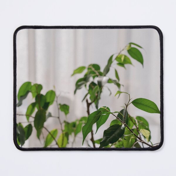Item preview, Ficus leaves designed and sold by anstey.
