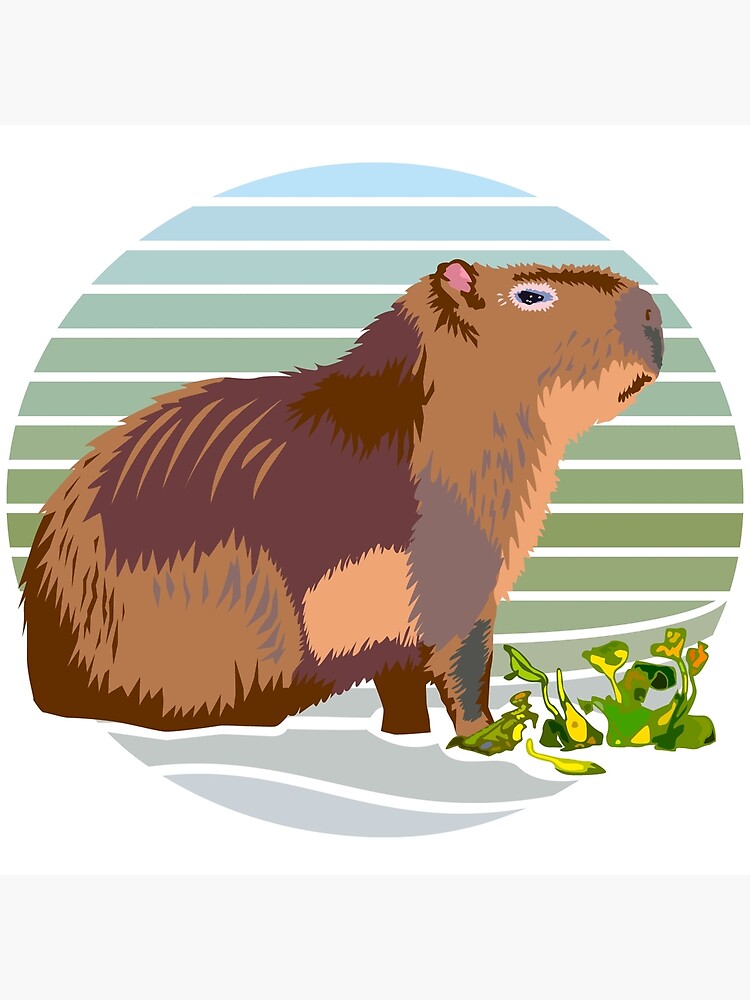 Capibara