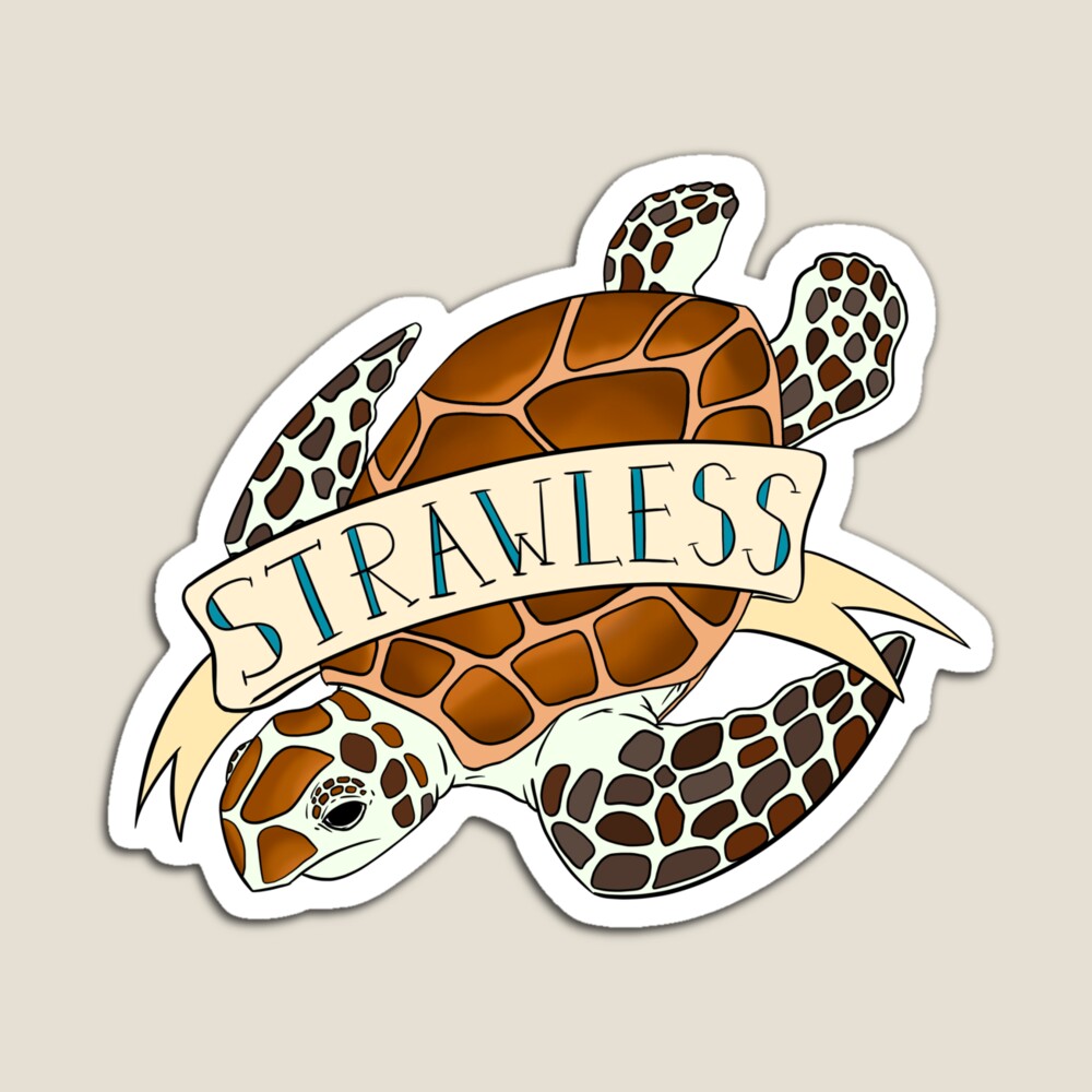 Turtle (No Straws) Pin