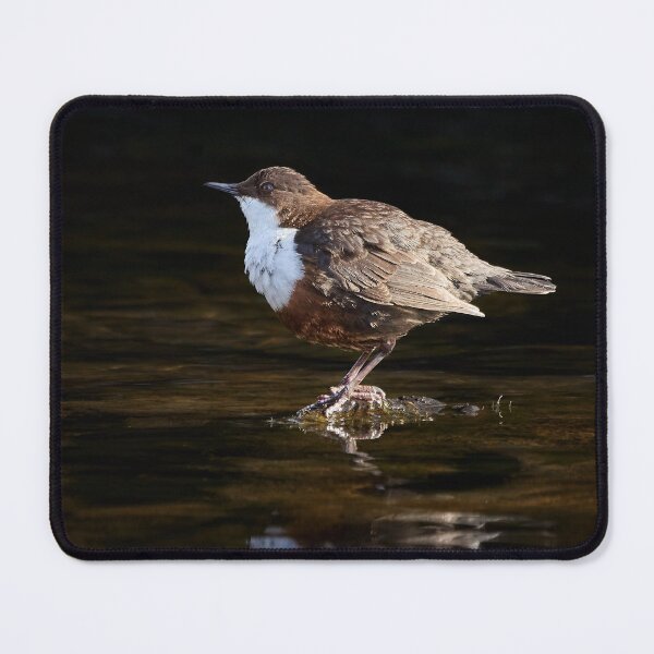 Item preview, Dipper designed and sold by Steve Miller.