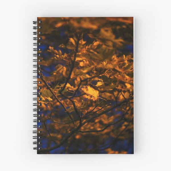 Item preview, Looking - A view designed and sold by Carl Gaynor.
