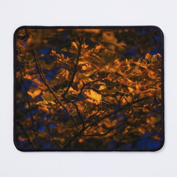 Item preview, Looking - A view designed and sold by Carl Gaynor.