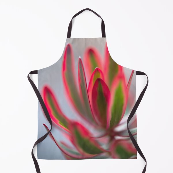 Item preview, Leucadendron salignum - Nature's Christmas Cheer designed and sold by imaginethis.