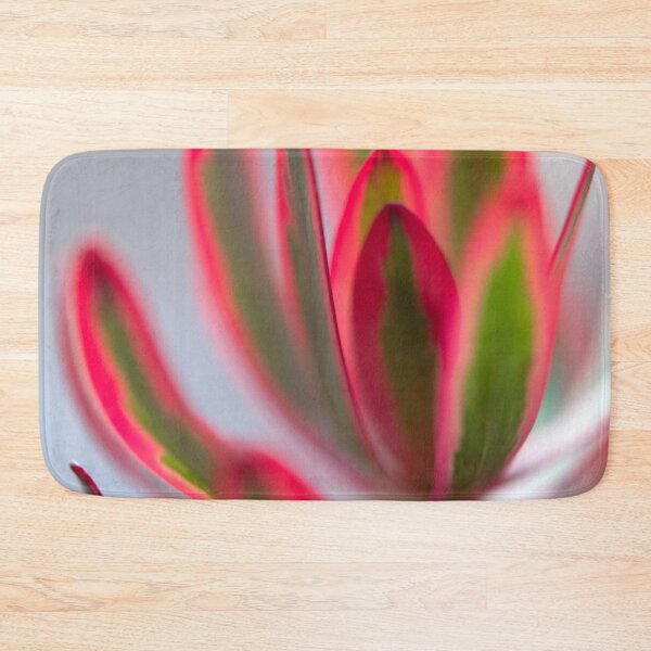 Item preview, Leucadendron salignum - Nature's Christmas Cheer designed and sold by imaginethis.