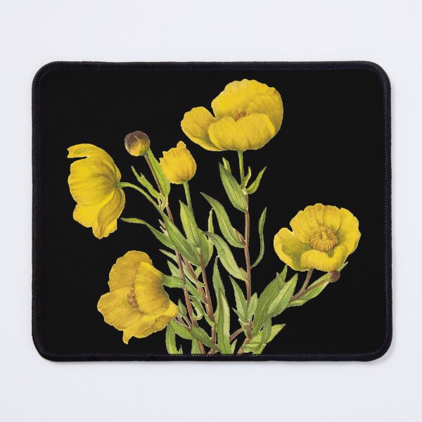 Item preview, Bush Poppy - Botanical Illustration designed and sold by chimakingthings.