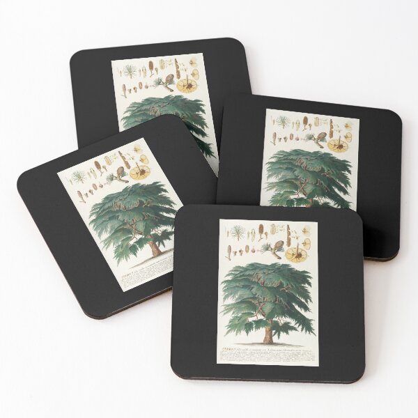Item preview, Cedar - Cedrus - botanical illustration designed and sold by chimakingthings.