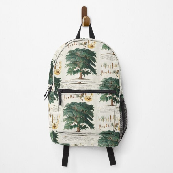 Item preview, Cedar - Cedrus - botanical illustration designed and sold by chimakingthings.