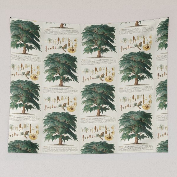 Item preview, Cedar - Cedrus - botanical illustration designed and sold by chimakingthings.