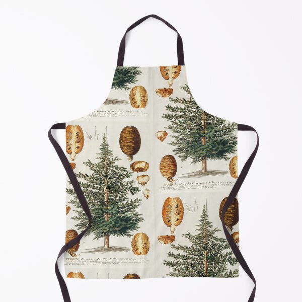 Item preview, Cedar tree and cone dissectation - Cedrus - botanical illustration designed and sold by chimakingthings.