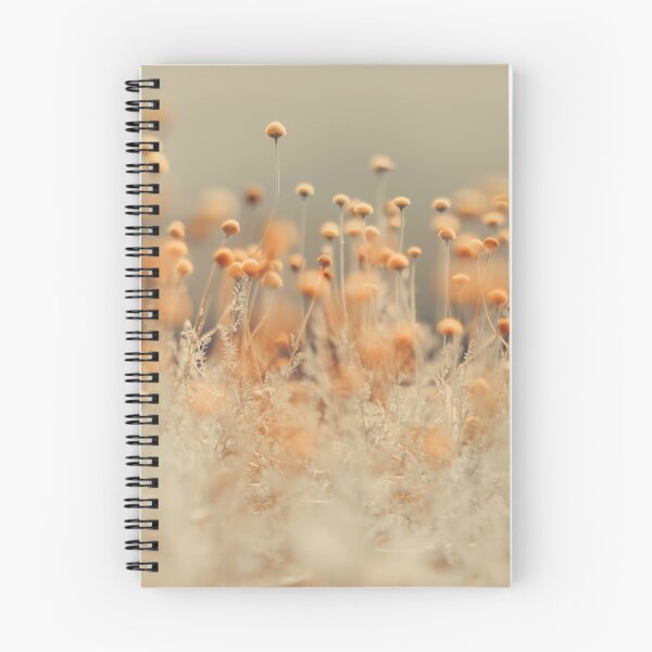 Item preview, Flowers, Wild Flowers, Mustard Yellow Flower photography designed and sold by Ingrid Beddoes Photography.