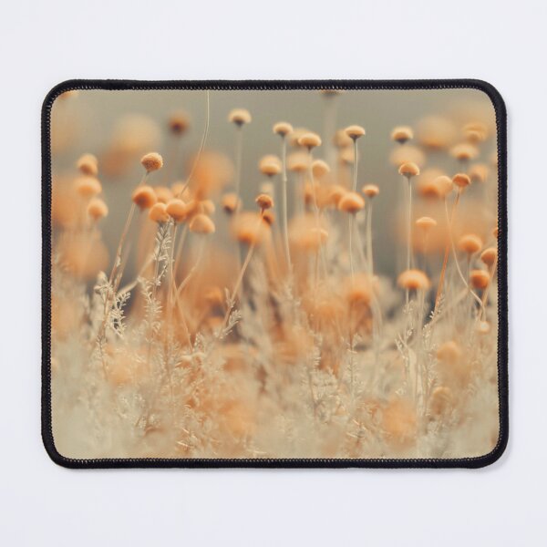 Item preview, Flowers, Wild Flowers, Mustard Yellow Flower photography designed and sold by Ingrid Beddoes Photography.