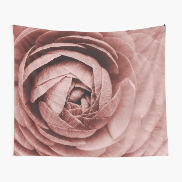 Item preview, Fleur rose - Fleur de renoncule - Fleurs - Floral Pastel designed and sold by Ingrid Beddoes Photography.