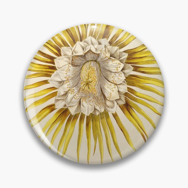 Item preview, Night blooming Cereus flower dissectation - botanical illustration designed and sold by chimakingthings.