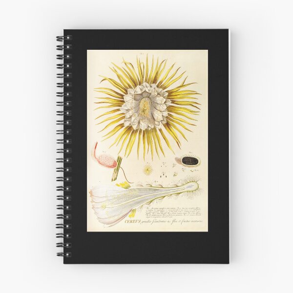 Item preview, Night blooming Cereus flower dissectation - botanical illustration designed and sold by chimakingthings.