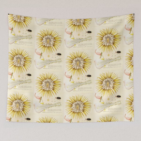 Item preview, Night blooming Cereus flower dissectation - botanical illustration designed and sold by chimakingthings.