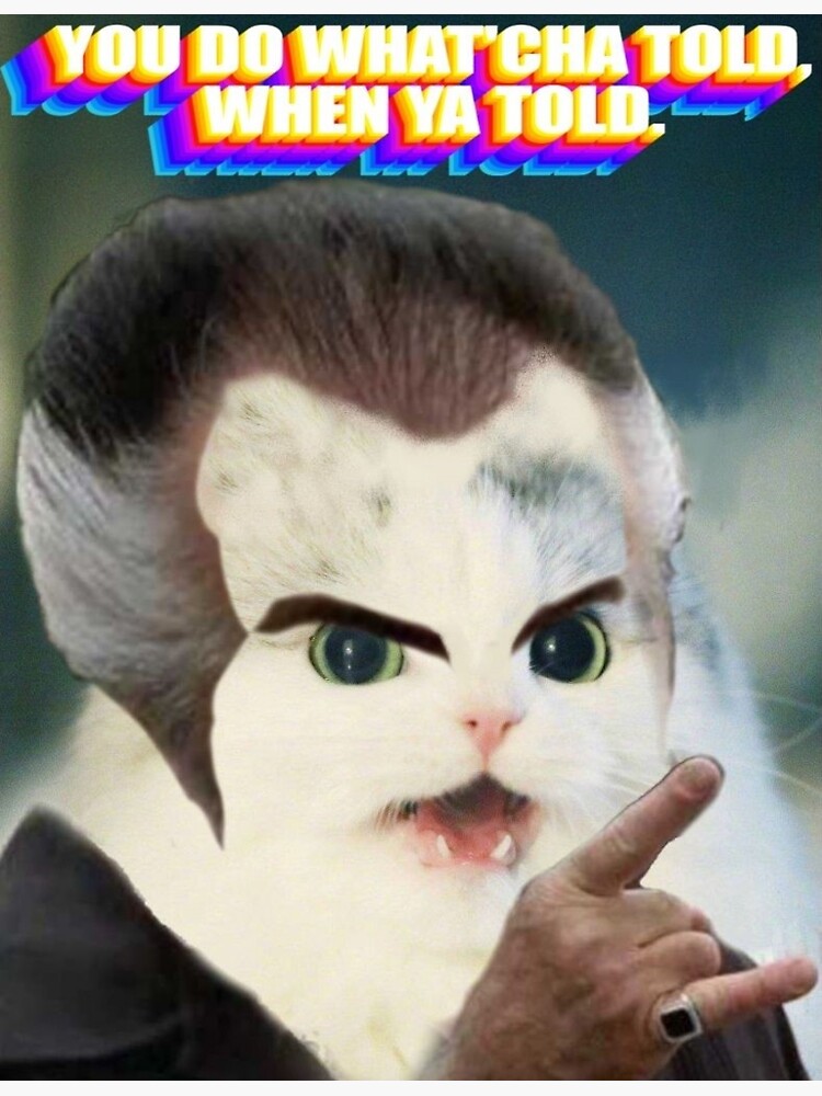 "Paulie Walnuts MEME" Sticker for Sale by CrazyMadInsano Redbubble