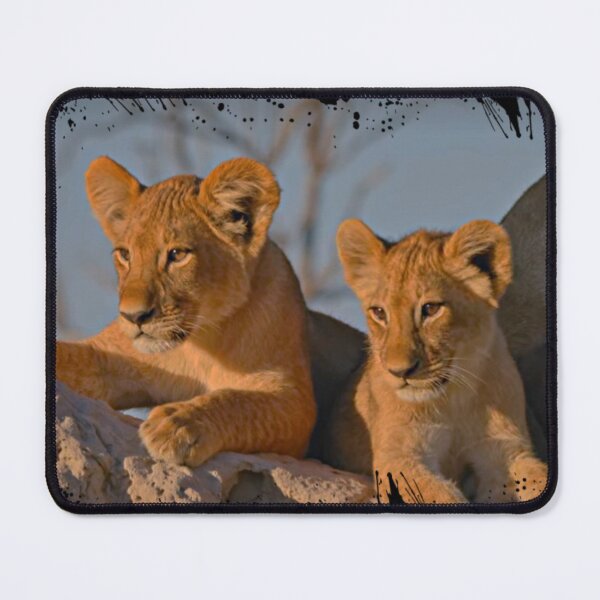 Item preview, Brothers with True Pride designed and sold by THE AMERICAN TEEVANGELIST.