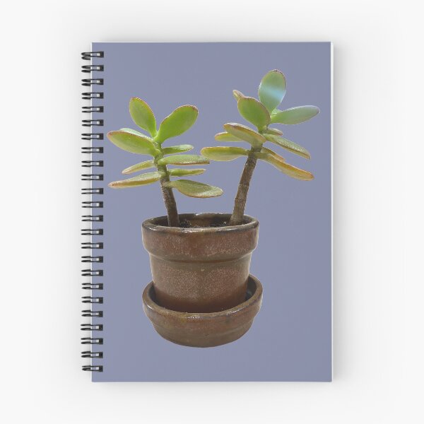 Item preview, Young Lucky Jade Succulent designed and sold by RachelsDoodles.