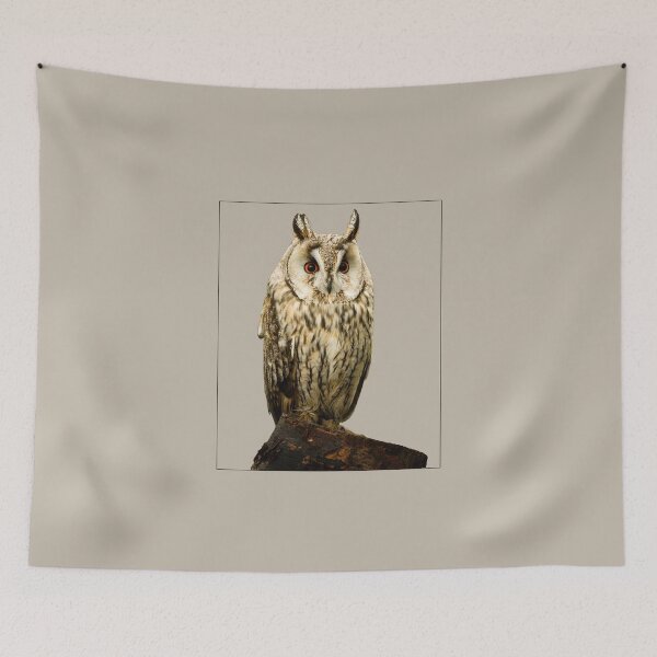 Item preview, Long-Eared Owl designed and sold by Jane Stanley Photography.
