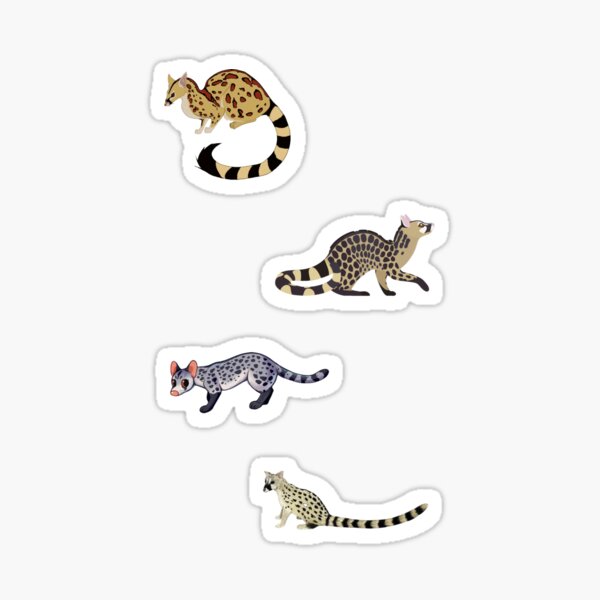 Genet pack Sticker