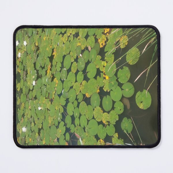 Item preview, Water lilies, lily pad, lake designed and sold by Sternchen2789.