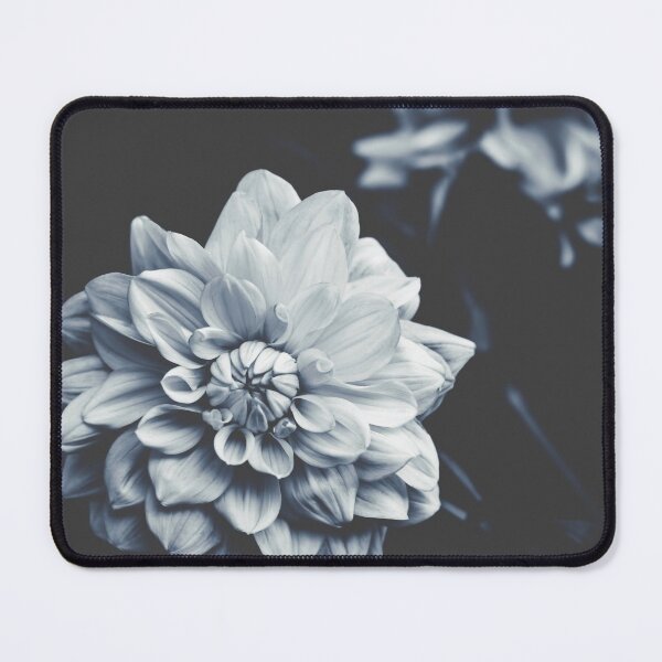Item preview, Deep Blue Dahlia designed and sold by Ingrid Beddoes Photography.