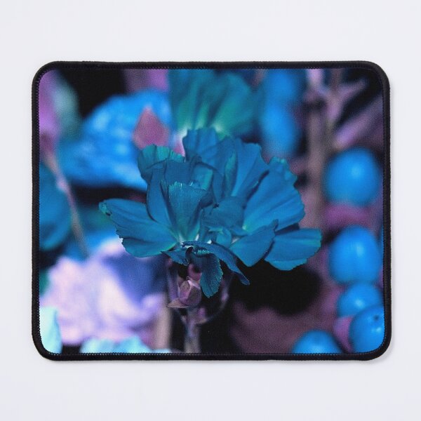 Item preview, Bright Blue Single Carnation Flowers designed and sold by JariHawk.