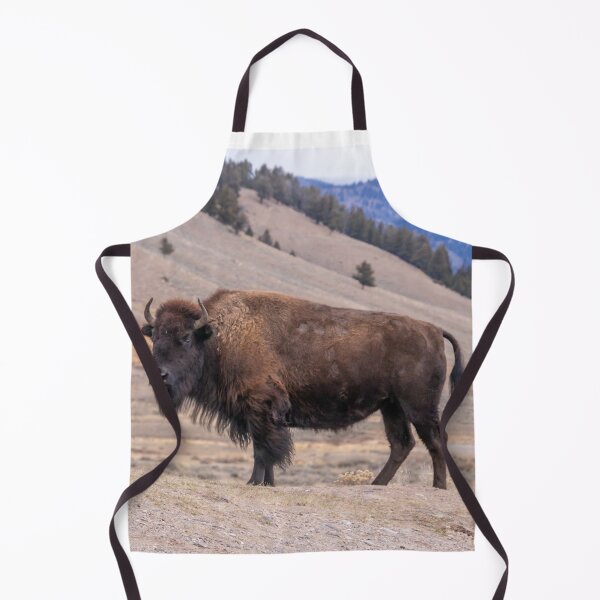 Item preview, Bison Buffalo Adult Photograph designed and sold by SafariByMarisa.