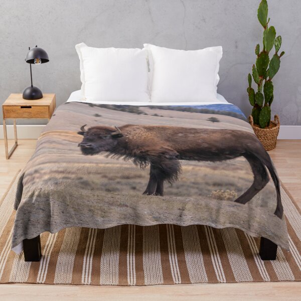 Item preview, Bison Buffalo Adult Photograph designed and sold by SafariByMarisa.