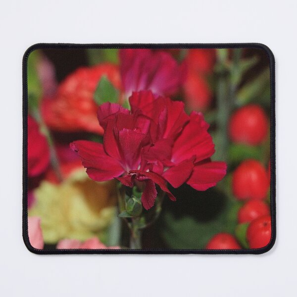 Item preview, Bright Red Single Carnation Flowers designed and sold by JariHawk.