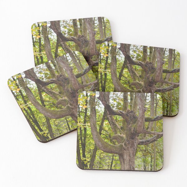 Item preview, Large strong tree in the forrest designed and sold by NorthernSnappy.