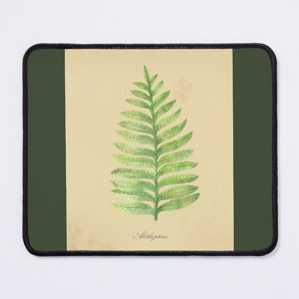 Item preview, Alethopteris, fossil fern designed and sold by SharonRoseR.