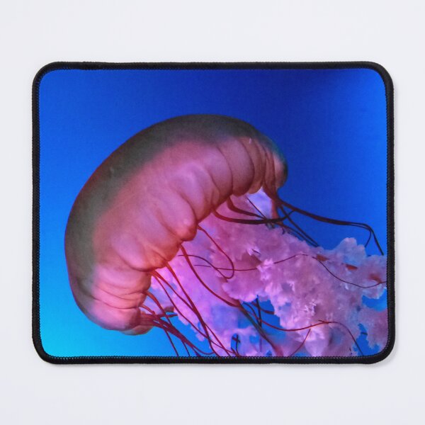 Item preview, Jellyfish designed and sold by cameraface.