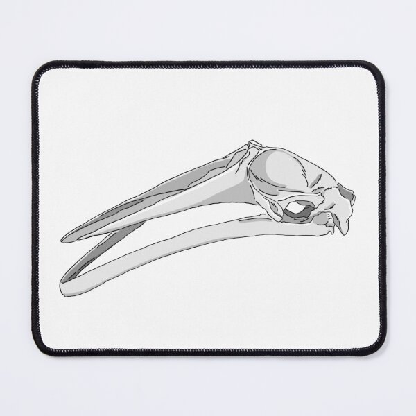 Item preview, Minke Whale Skull designed and sold by babygunz47.