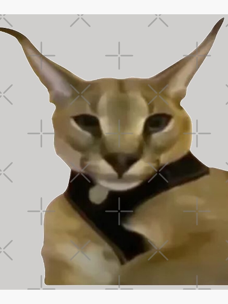 a clean discord bot pfp cat - Playground