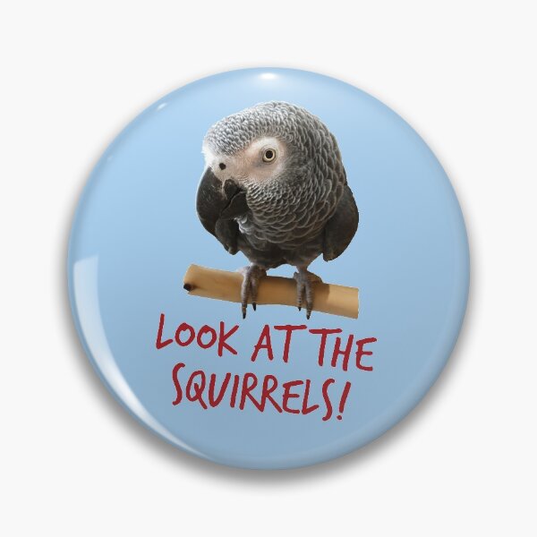 Item preview, Look at the squirrels! designed and sold by einsteinparrot.