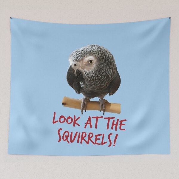 Item preview, Look at the squirrels! designed and sold by einsteinparrot.