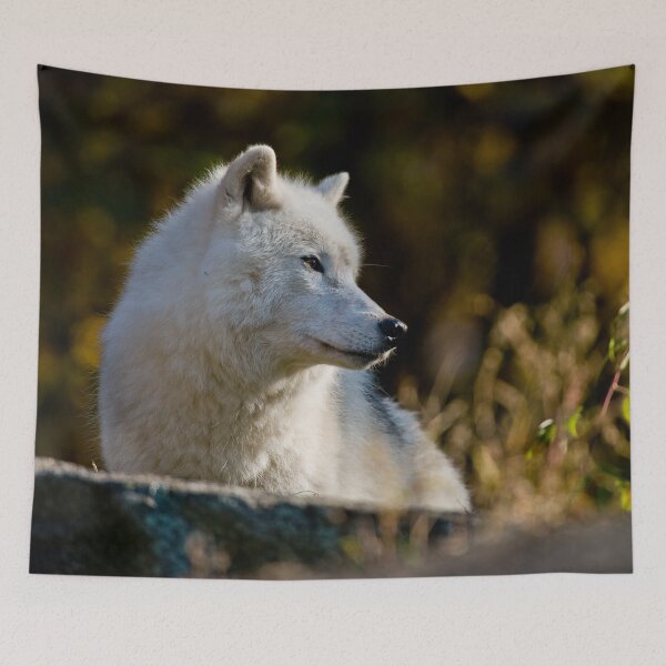 Item preview, Arctic Wolf designed and sold by Michael Cummings.