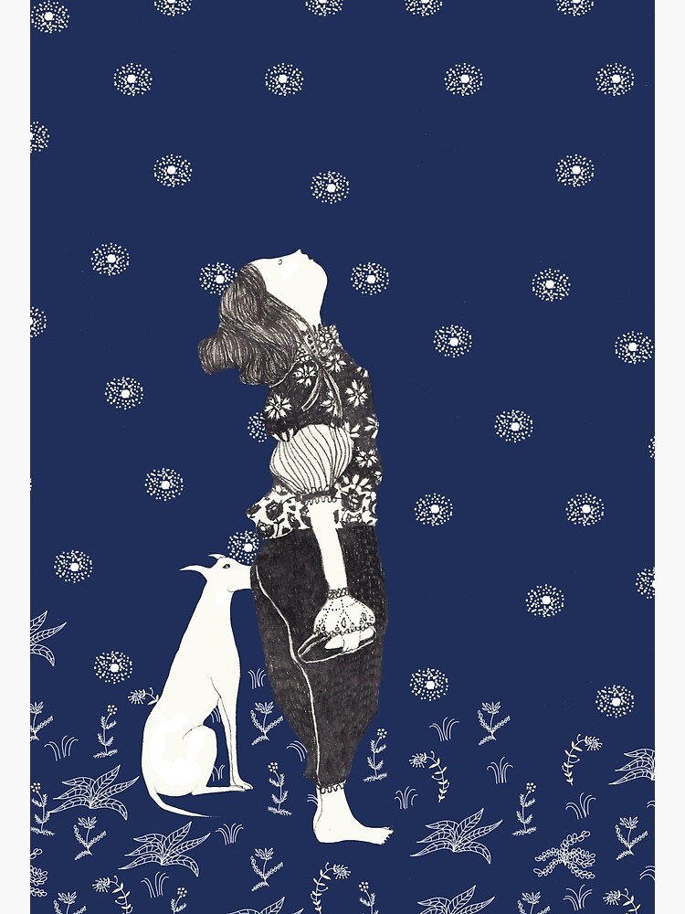 Looking at the stars by spoto