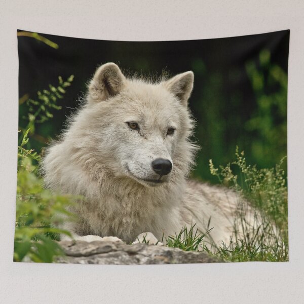 Item preview, Arctic Wolf designed and sold by Michael Cummings.