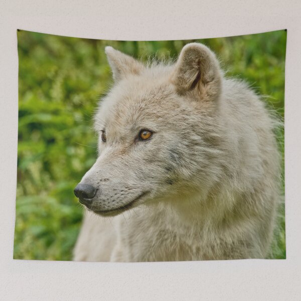 Item preview, Arctic Wolf designed and sold by Michael Cummings.