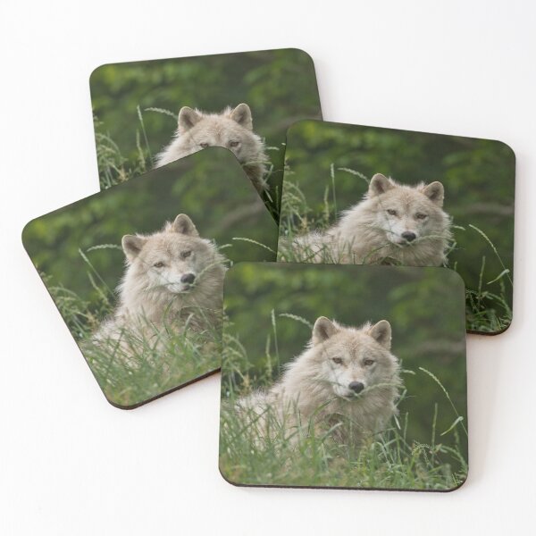 Item preview, Arctic Wolf designed and sold by Michael Cummings.