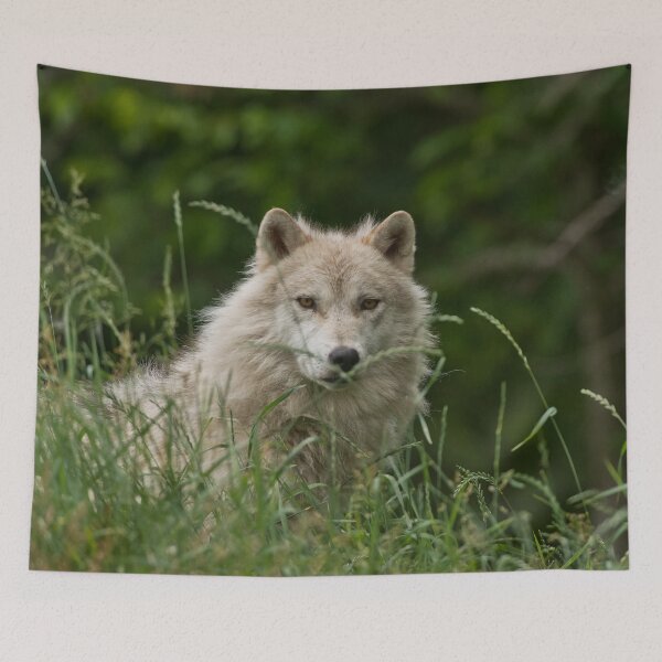 Item preview, Arctic Wolf designed and sold by Michael Cummings.
