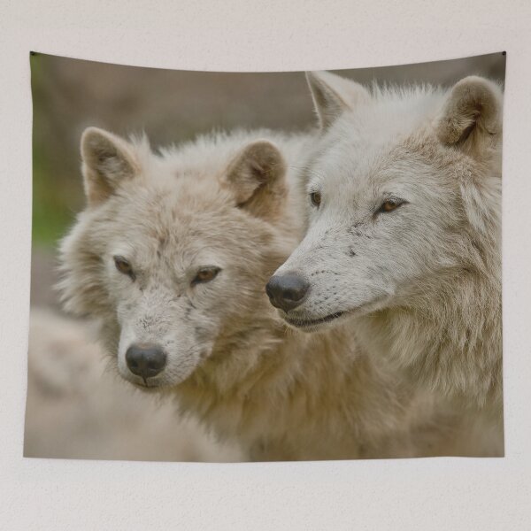 Item preview, Arctic Wolves designed and sold by Michael Cummings.